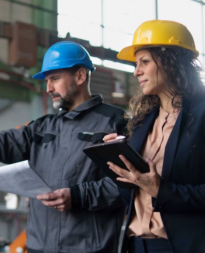 Vendor Expediting